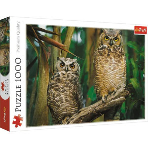 Puzzle Trefl, Bufnite, 1.000 piese