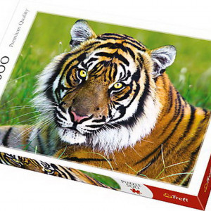Puzzle Trefl, Tigru, 500 piese
