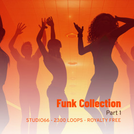 Funk Groove Collection Part 1 WAV Loops Download
