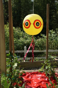 Balon sperietor pasari daunatoare (anti grauri, anti porumbei, anti ciori, anti vrabii, anti prigorii)