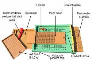 Fund din plastic pentru stupi cu colector de polen