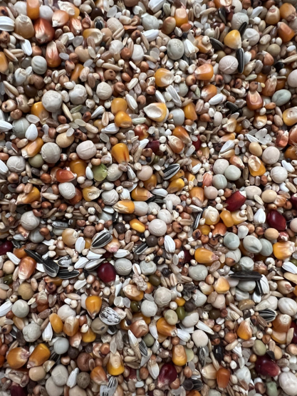RE - REPRODUCTIE SPECIAL 30KG