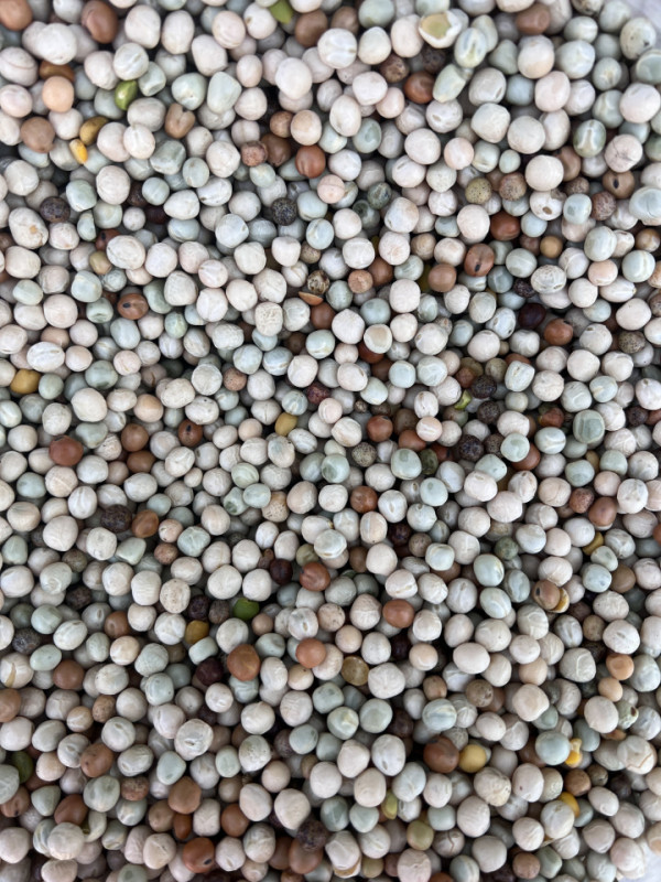 Protein mix