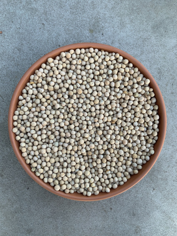 Mazare galbena 20kg