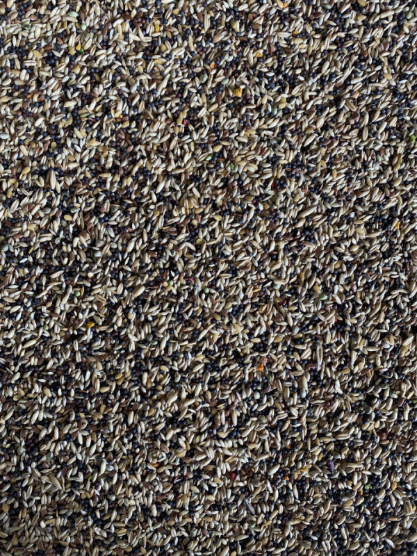 Hrana canari + Vitamine 14 Kg