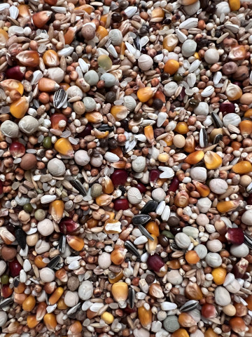 RE - REPRODUCTIE SPECIAL 30KG