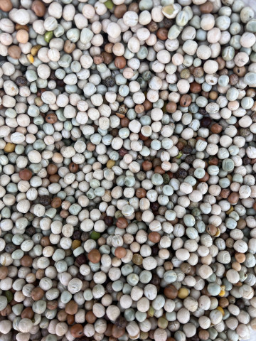 Protein mix