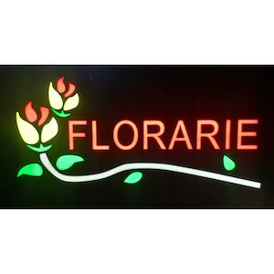 Reclama LED cu mesajul `FLORARIE`, Semn luminos magazin vitrina, Panou informativ