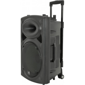 Boxa Troller Portabila Temeisheng 12Inch 300W