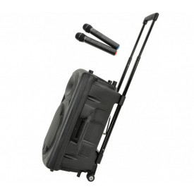 Boxa Troller Portabila Temeisheng 12Inch 300W