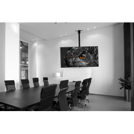 Suport brat telescopic Ecran TV Tavan/Perete, Monitor 14-42", Stativ ajustabil 53-88CM, max 30KG, VESA 100-200mm