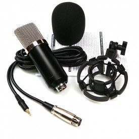 Microfon studio BM700, Brat flexibil cu menghina, Pop-Filtru