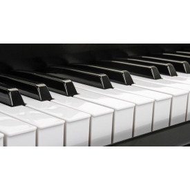 Pianina electronica MLS-9959, 61 Clape, 128 Tonuri, Afisaj digital claviatura si functii