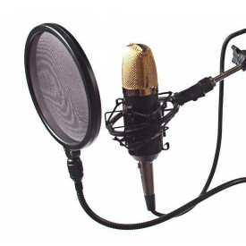 Microfon studio BM700, Brat flexibil cu menghina, Pop-Filtru