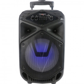 Boxa activa 8110, Difuzor party portabil 8", Bluetooth, 15W