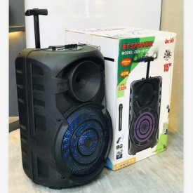 Boxa troller activa cu difuzor 15" 30cm ZQS15101, 40W