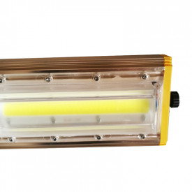 Proiector modular LED COB 50W / 100W PRO, iluminat arhitectural, Indice protectie IP66