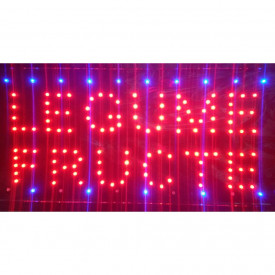 Reclama aprozar cu mesaj `LEGUME FRUCTE`, Panou semn luminos LED
