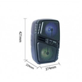Boxa 2 x 6.5" Bluetooth, Acumulator 3000mAh, Portabila Picnic
