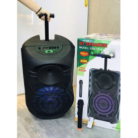 Boxa troller activa cu difuzor 15" 30cm ZQS15101, 40W