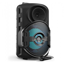 Boxa troller activa cu difuzor 15" 30cm ZQS15101, 40W