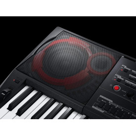 Orga electronica CT-X3000 CASIO, 61 clape Touch Response