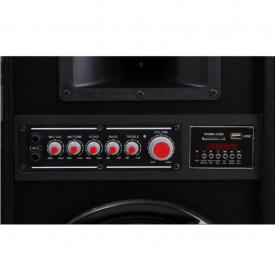 Boxe active 2307 amplificate 40W, 8ohmi, 2 intrari microfon, USB/SD