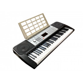 Orga electronica incepatori 639 + Cadru metalic reglabil + Microfon, 61 clape, USB
