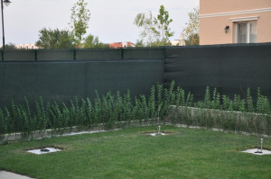 Plasa mascare garduri 2X50 m, grad umbrire 80%, verde