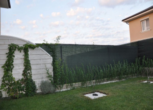 Plasa mascare garduri 2 m X 50 m, grad umbrire 80%, verde