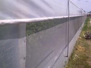 Plasa protectie contra insectelor 1.2*50 m
