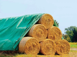 Agrotextil protectie paie 9.8*25 m