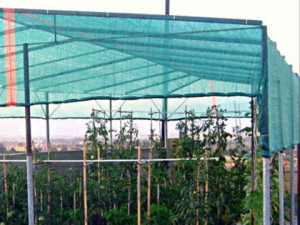 Plase de umbrire pentru solar si sere, latime 2m