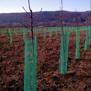 Plase protectie livada pomisori, Verde, diametru 10cm