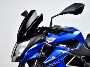 KAWASAKI Z 125 2019 - 2021 - TOURING WINDSCREEN / WINDSHIELD