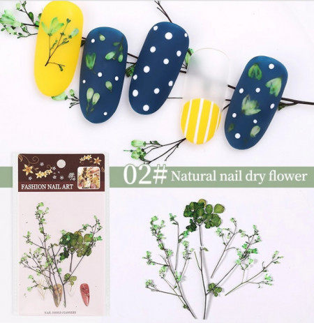 Set flori uscate 02 Green