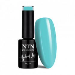 Oja semipermanenta Ntn Premium 095 Dessert Collection