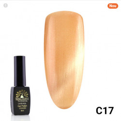 Oja semipermanenta Cat Eyes 8 ml, 17