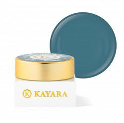 Gel color premium UV/LED Kayara 031 Roadside