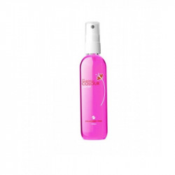 DEGRESANT SILCARE CU PULVERIZATOR CAPSUNI 100ML