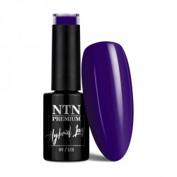 Oja semipermanenta Ntn Premium 069 After Midnight Collection