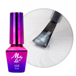Top coat fara degresare MollyLac Metalic