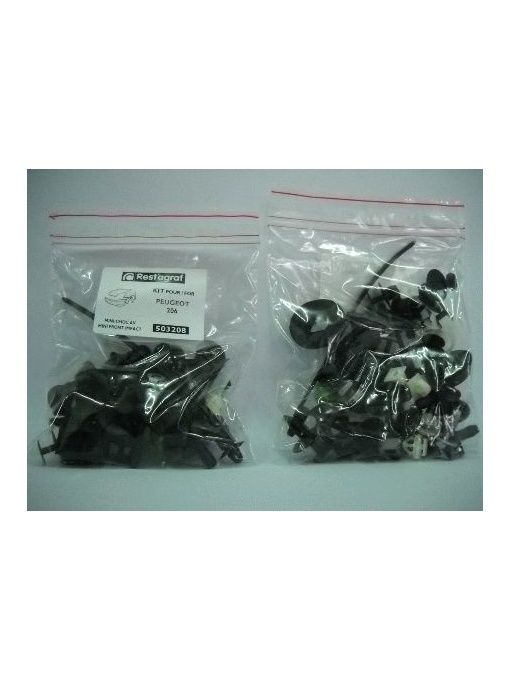 A503208 Sfnbb Set Montaj Bara Fata + Aripi Peugeot 206 Restagraf