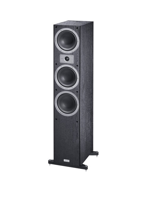 Magnat Tempus 77