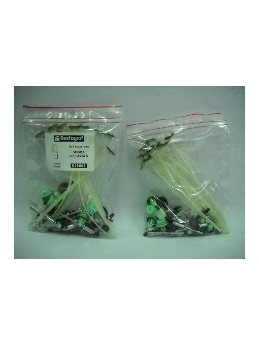 A519003 Sfnbb Set Agrafe Montaj Usa Octavia Ii Restagraf