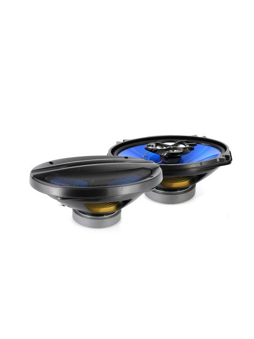 Difuzor auto Carguard 6X9" (165X236 mm) 130W / 4 Ohm