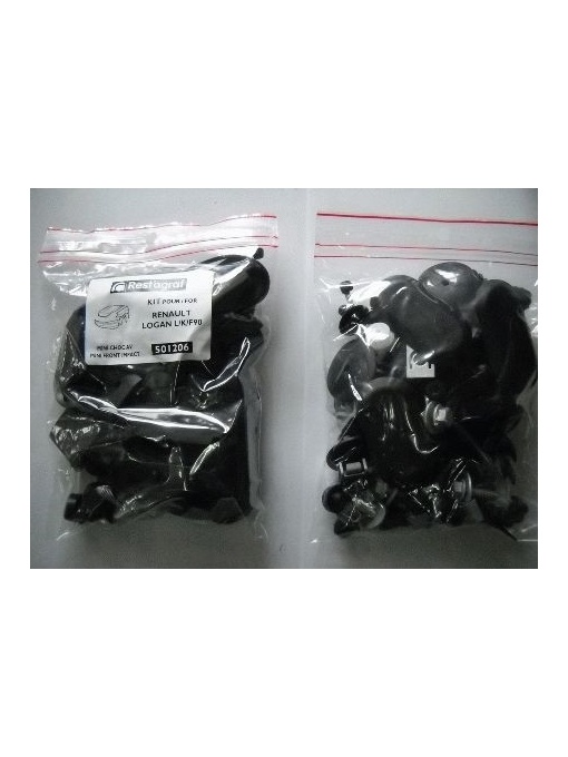 A519103 Fd Sfnbb Set Agrafe Montaj Hayon Octavia Ii Restagraf