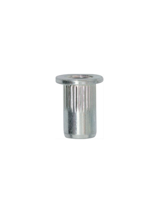 SET 30 BUC PIULITE OTEL RESTAGRAF