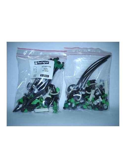 A517003 Sfnbb Set Agrafe Montaj Usa A4 2005 Restagraf