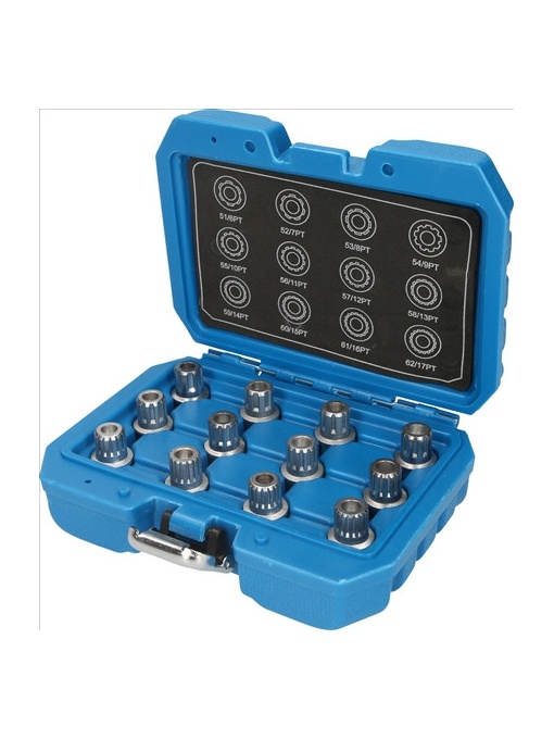 Set Ptr Desfacerea Antifurtului Ptr Jante Ptr Vw, 12 Pcs-Brilliant